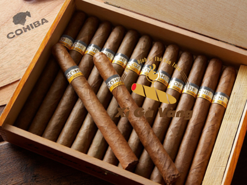 Xì gà Cohiba nổi tiếng hàng đầu thế giới